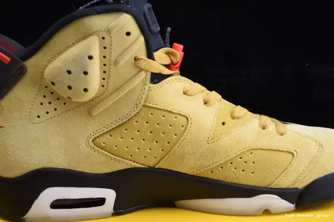 Reps LUCY YELLOW X JORDAN SCOTT AIR 6 CN1084-300 TRAVIS 0511